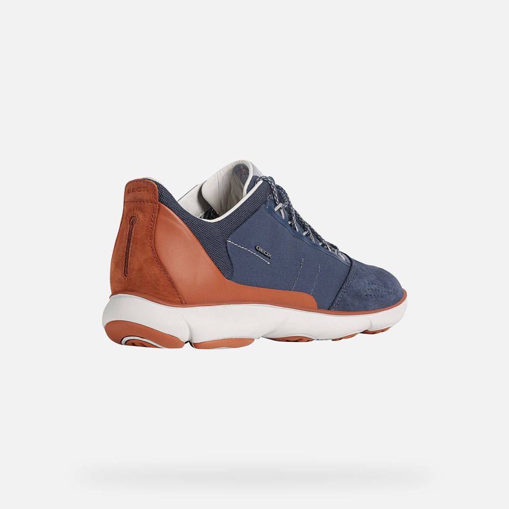 Basket Geox Nebula - Bleu/Marron - Homme 650172-QVD